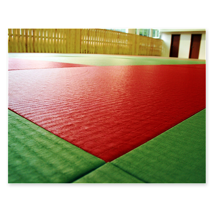 Татами Универсал 1х2х0,04,ППЭ, Judo-ткань, дно с антислипом, 160кг/м3