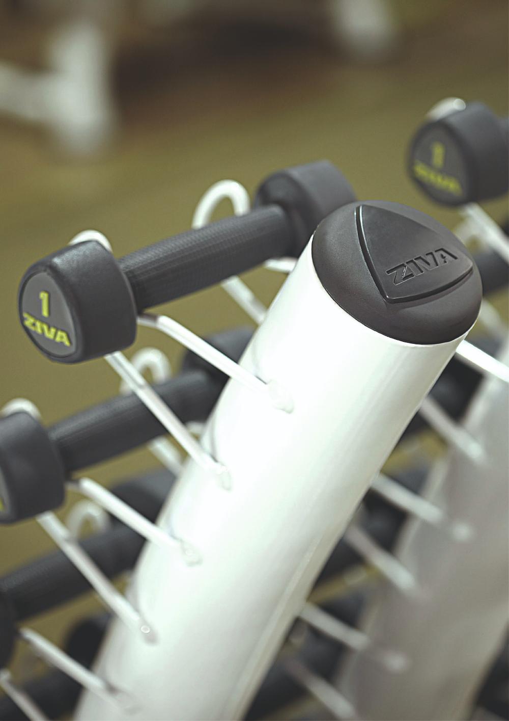 Стойка для студийных гантелей на 30 пар