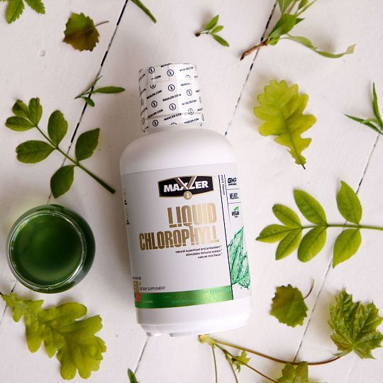 Maxler Liquid Chlorophyll (450 мл.)