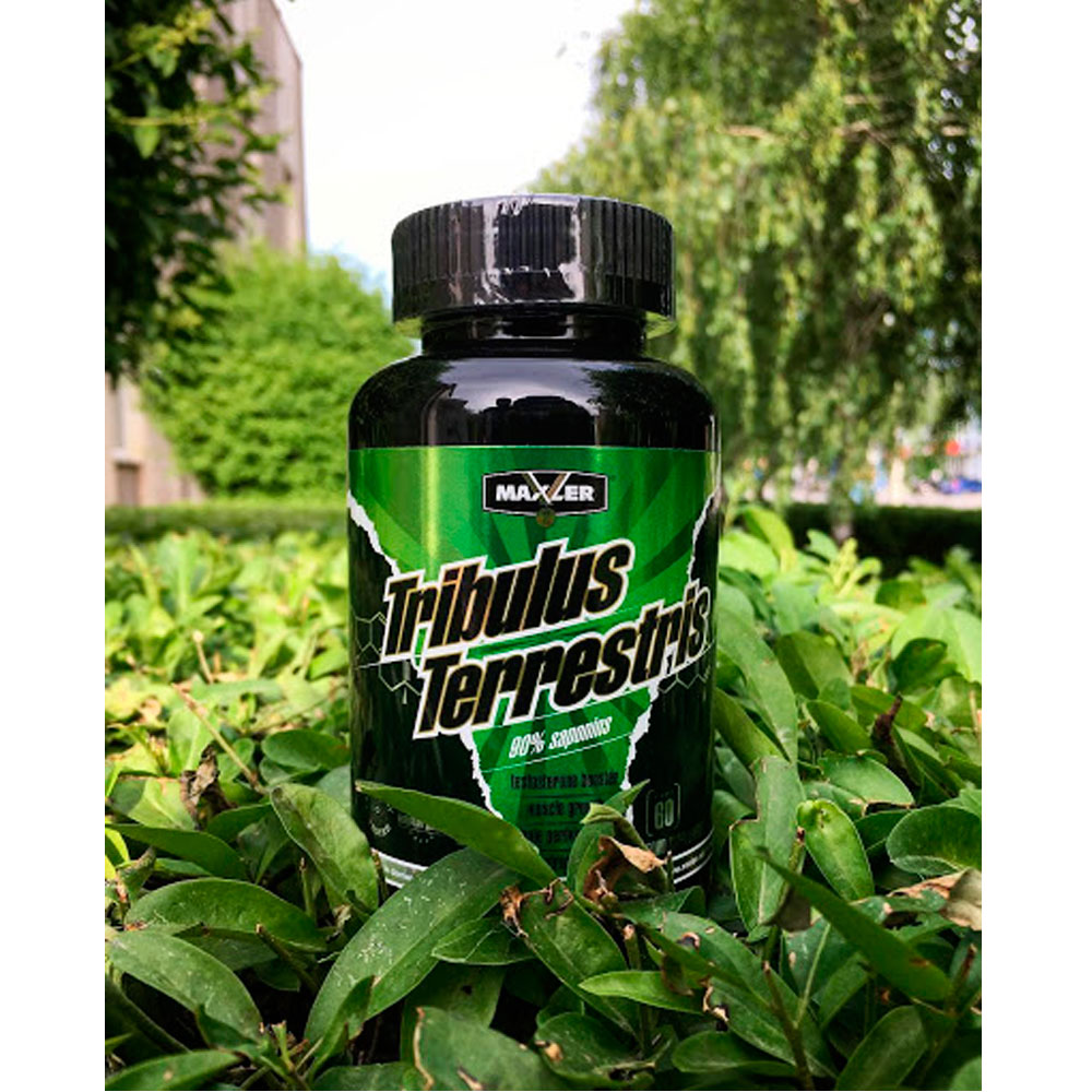 Maxler Tribulus  (100 капс.)