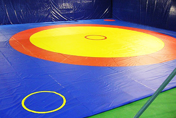 Борцовский ковер трехцветный 10х10м,160 кг/м3