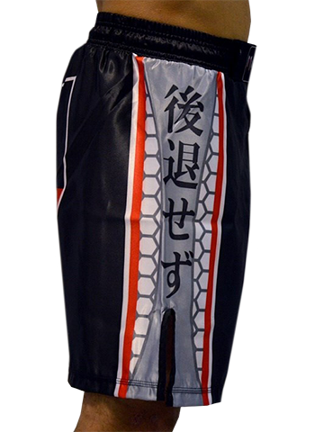 Шорты M-1 ММА Imperia Spider