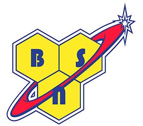 BSN -логотип