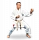 Каратэ